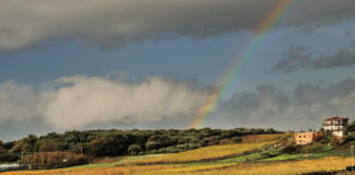 8 Settembre 1943, la lettera della frascatana Enrica Ceccacci vigneto_frascati_doc_amici_di_frascati