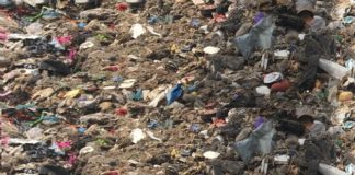 Dissequestrata la discarica di Albano