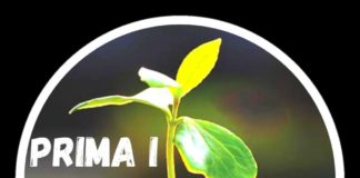 Prima i Giovani per Anna Delle Chiaie sindaco si presenta