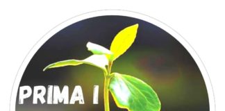 Veronica Pompili della lista civica Prima I Giovani “Mi presento a sostegno di Anna Delle Chiaie Sindaco”