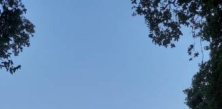 Roncigliano, esposto al Noe dell’Associazione Salute Ambiente Albano