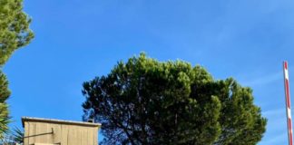 Tor Bella Monaca, rapinatore tradito dal suo tatuaggio