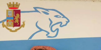 Taglio, piega e droga a via Casilina