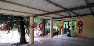 Spazio Ludico Estivo Grottaferrata, bilancio positivo del Comune