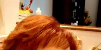 Teresa Ramundo “Con Anna Delle Chiaie tra voi per voi” ramundo