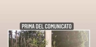 Attenni Lista Michetti “Dopo nostro intervento, iniziata pulizia al III Municipio”