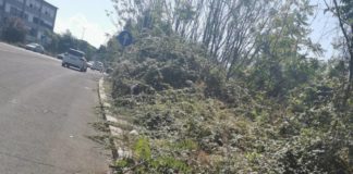 Vigne Nuove, Attenni Lista Michetti “Giungla o marciapiedi? pedoni a rischio”