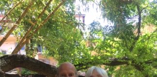 Roma, la vendemmia arriva in città