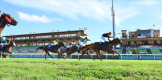 Capannelle, riparte la stagione delle corse ph. Domenico Savi