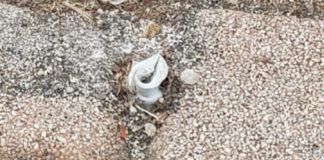 Toti e Camerini Pesca “Nessuna risposta sul gazebo del Mercatino del Lago”