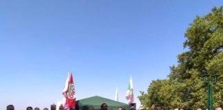 Frascati, eletta Francesca Sbardella Francesca Sbardella e la sua squadra