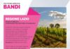 Regione Lazio, bando per il vitivinicolo “Un opportunità per Frascati” bandi