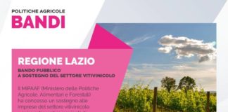 Regione Lazio, bando per il vitivinicolo “Un opportunità per Frascati” bandi