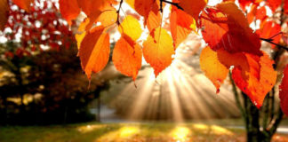 Fermenti d’autunno al Parco Romano Biodistretto autunno