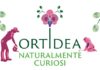 Ortidea, presso il Museo Orto Botanico di Roma, dal 22 al 24 ottobre