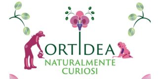 Ortidea, presso il Museo Orto Botanico di Roma, dal 22 al 24 ottobre