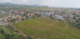 Osservazione al Print di Cecchina delle associazioni