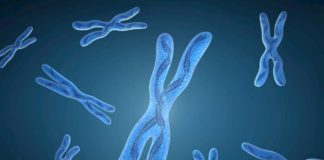 Giornata Europea sulla Sindrome dell’X Fragile