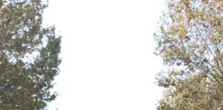 Albano, Cascella: “Consentire cappe a carboni attivi in alternativa alle canne fumarie”