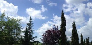 Cimitero Flaminio, Palozzi (Cambiamo): “Gualtieri lavori per ripristinare decoro” cimiteroflaminio