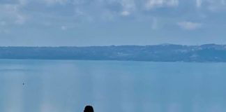 Sanità, Francesca De Vito Misto “Con i fondi del PNRR la Regione guarda al privato” francesca_de_vito