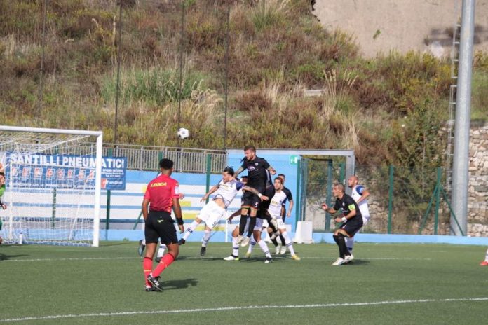 vis_artena_foto_coculo