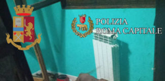 Roma, era legato al termosifone in passime condizioni igienico sanitarie: Pitbull soccorso a via Agostino Mitelli