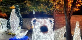 MARINO ACCENDE IL NATALE IN ANTEPRIMA