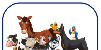 Gli animali domestici dimenticati durante la pandemia animalilogo