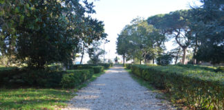 Pomezia, al via i lavori di restauro dei giardini Petrucci