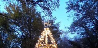 L’8 dicembre del Parco Romano Biodistretto di Ariccia