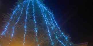 Al San Camillo spettacolo di luci e solidarietà per l’Albero di Natale di Assotutela