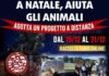 AnimaLiberAction: A Natale aiuta gli animali