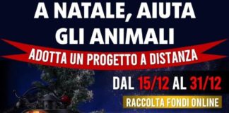 AnimaLiberAction: A Natale aiuta gli animali