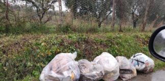 Aumentano i controlli della Polizia Locale a Lanuvio controllilanuvio