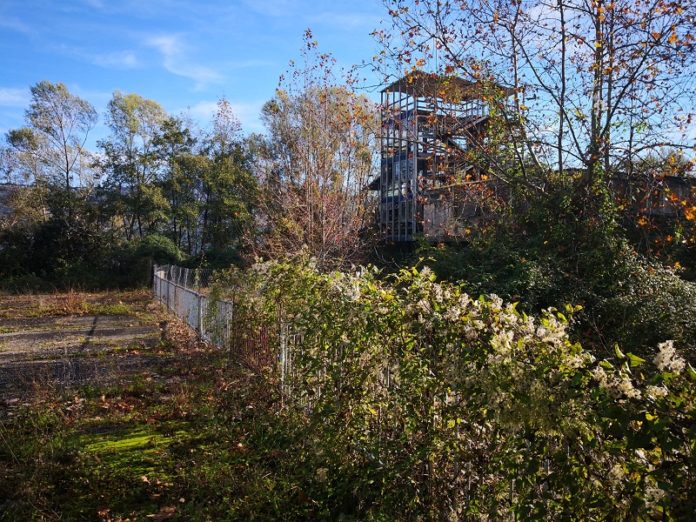 areatribuneolimpiche