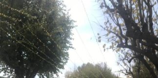 Ducci, “gli allestimenti natalizi hanno avuto un impatto positivo”