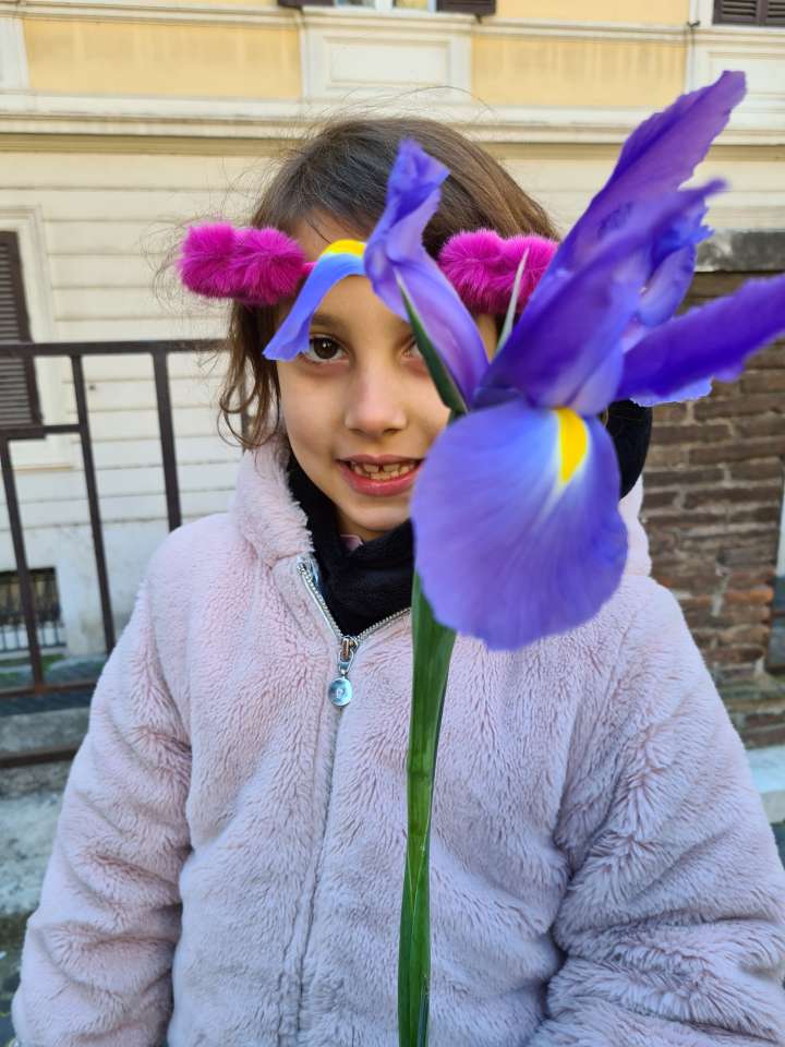 Un fiore giallo e blu per l'Ucraina