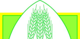 Allarme della Coldiretti. Il Nutriscore mette a rischio le nostre eccellenze