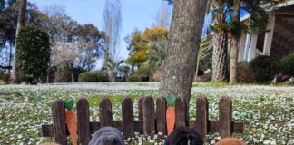 Tutti insieme per la pace con la Pasqua solidale di ZooMarine pasquazoomarine