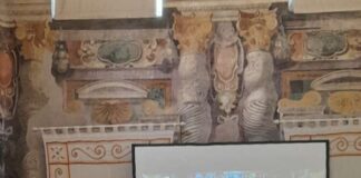 Motore Sanità in Senato per discutere di RSA e sanità territoriale motoresanitasenato