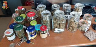 Trovati in casa di un 28 enne ad Anzio 500 grammi di marijuana anziodroga