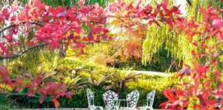 Come scegliere le sedie da giardino giardino