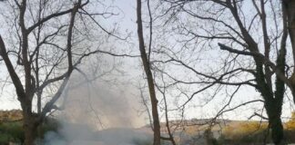 Letta “Più sicurezza e tutela per l’ambiente. Basta chiacchiere e tagli di nastri” incendiogrotta