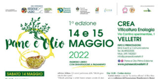 A Velletri Pane e Olio paneolio