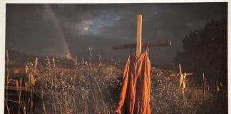 A Roma anteprima del World Press Photo, gli scatti più belli del fotogiornalismo mondiale worldpressphoto