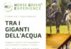 Horse Green Experience presenta equiraduno tra i giganti dell’acqua locandinacavallo