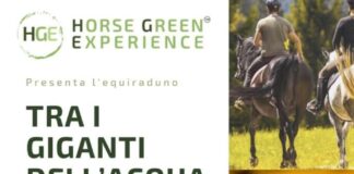 Horse Green Experience presenta equiraduno tra i giganti dell’acqua locandinacavallo