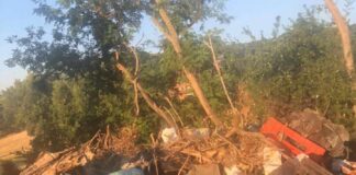 Sversamento abusivo di rifiuti lungo via Anagnina sversamentoabusivo1