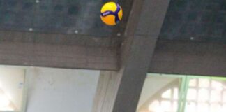 BCC Colli Albani Volley School Genzano: Paolo Battaglia altro innesto per la B